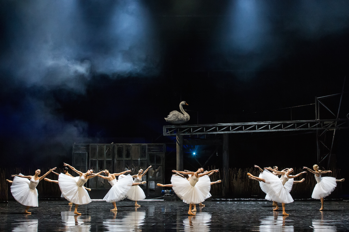 Swan Lake - National Opera (4)